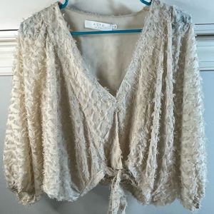 ASTR the label crop top size small